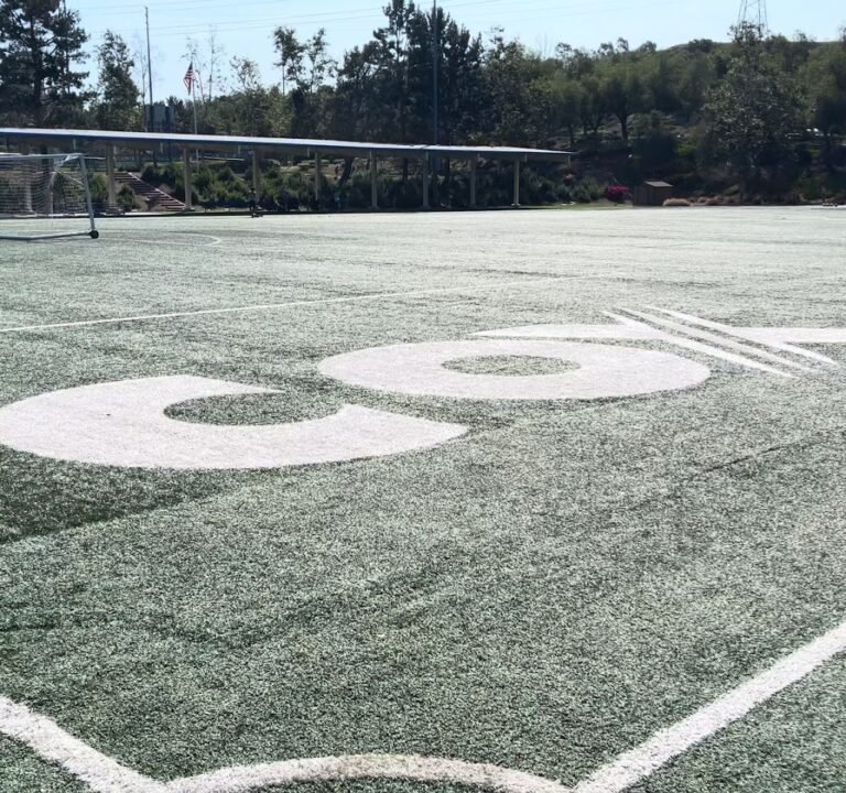 Soccer Field image 4