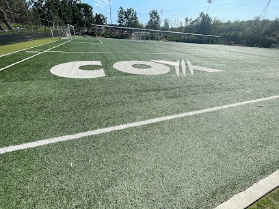 Soccer Field image 1