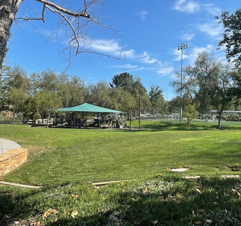 Soccer Field image 2