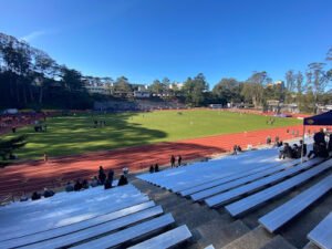 Soccer Field image 1