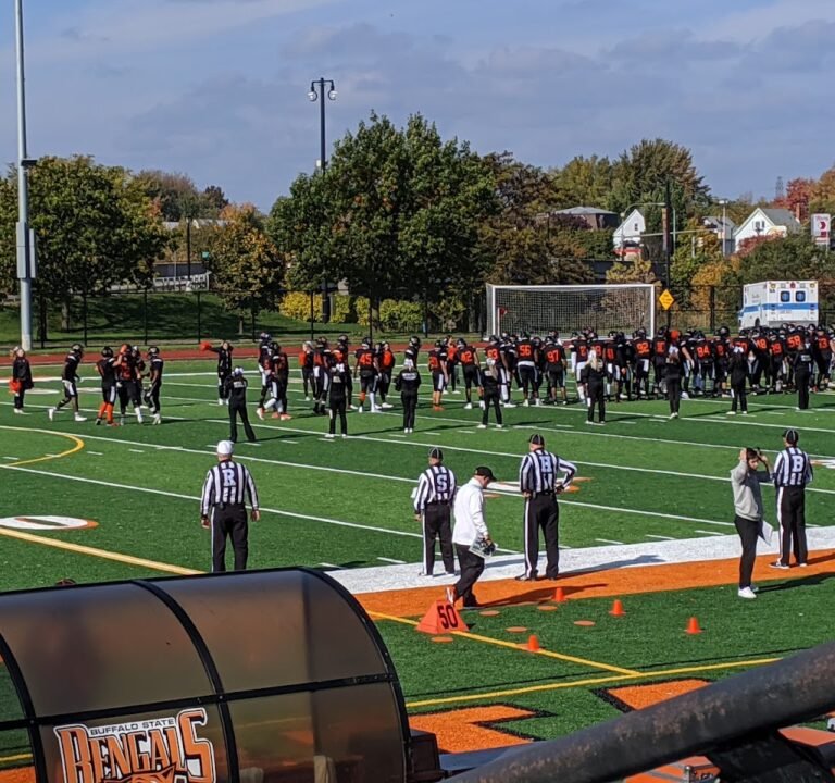 Soccer Field image 2