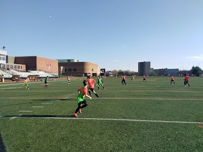 Soccer Field image 1