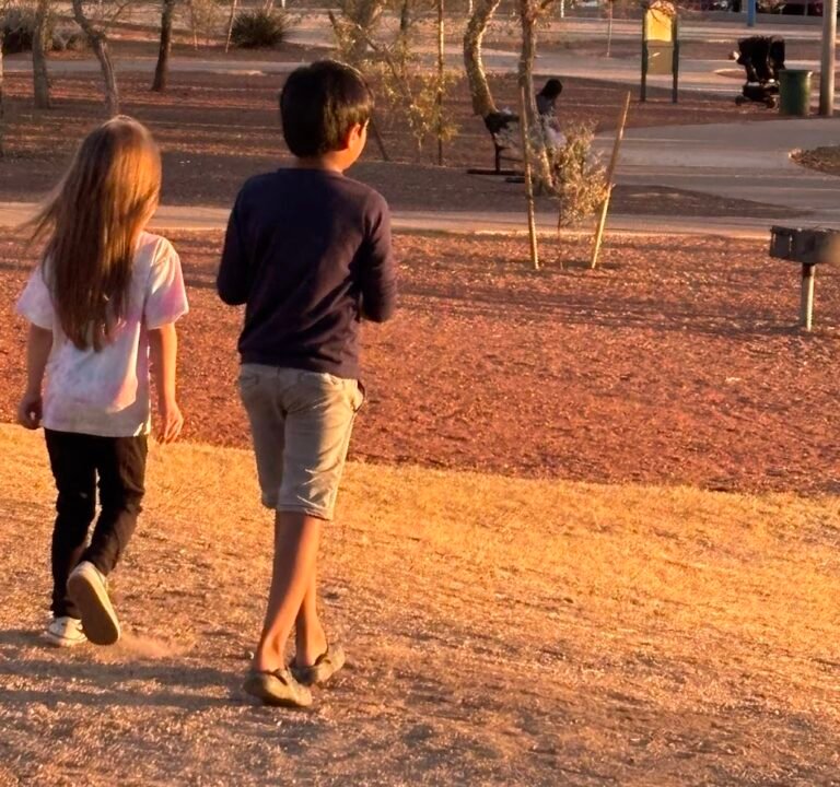 Soccer Field image 3