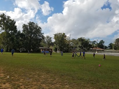 Soccer Field image 1
