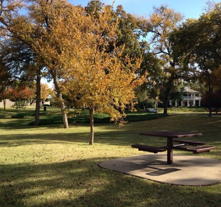 Soccer Field image 2