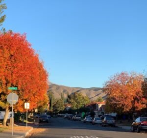 Soccer Field image 2