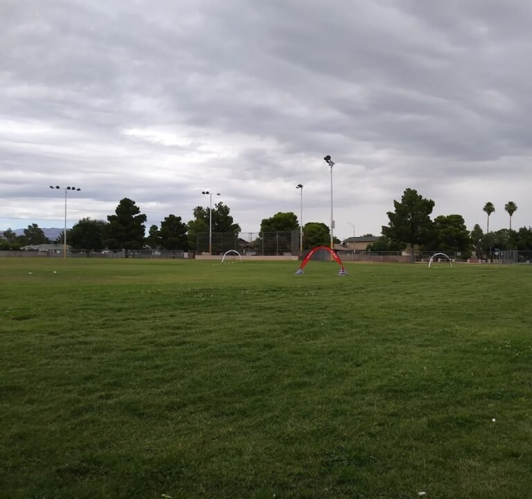 Soccer Field image 3