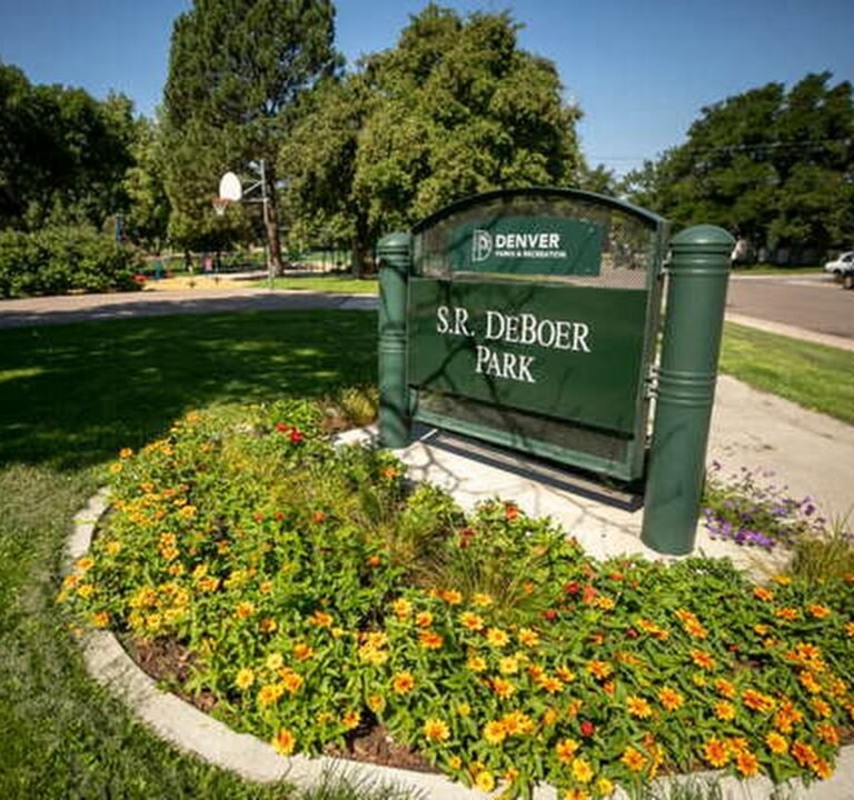 Soccer Field image 2