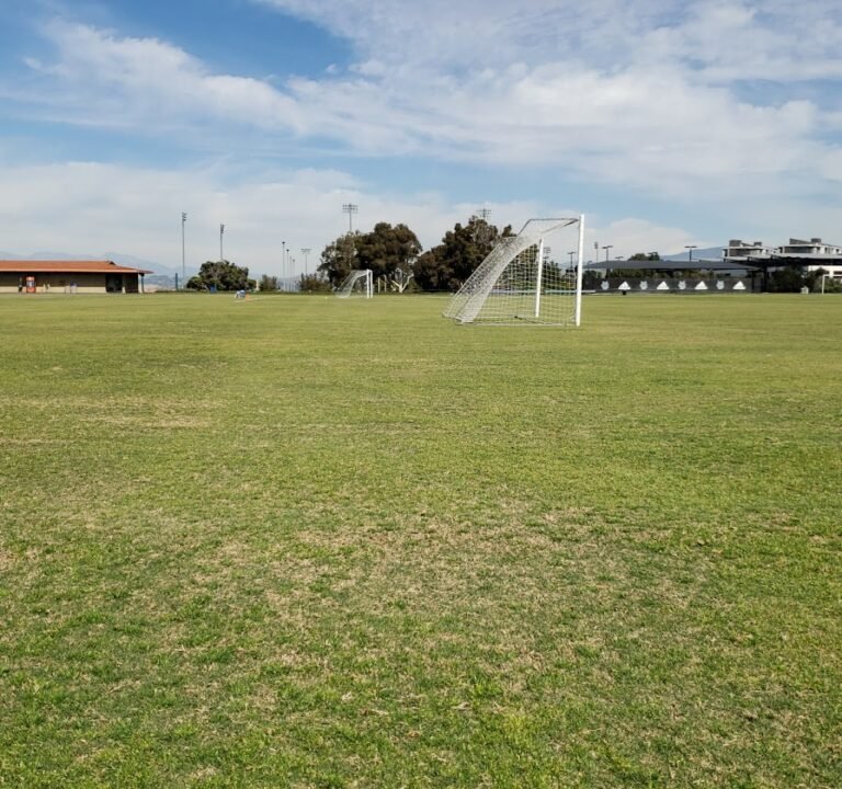 Soccer Field image 2