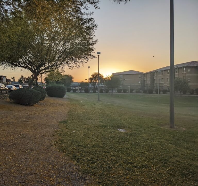 Soccer Field image 3