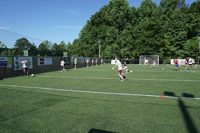 Soccer Field image 1