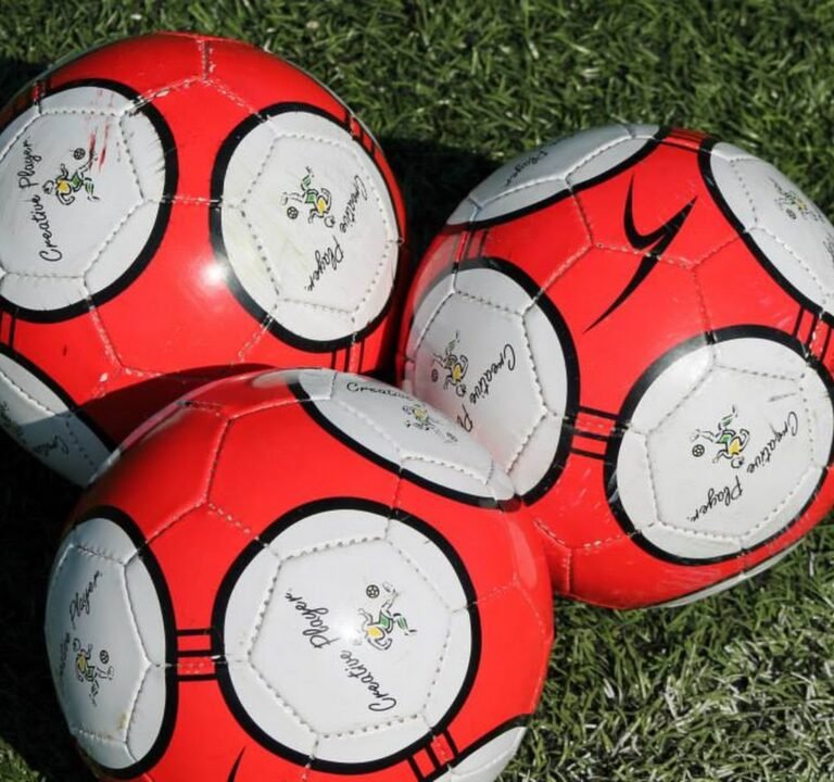 Soccer Field image 2