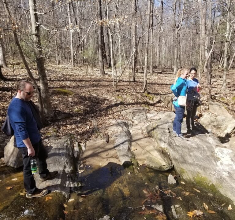 Soccer Field image 3