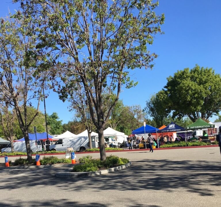 Soccer Field image 3