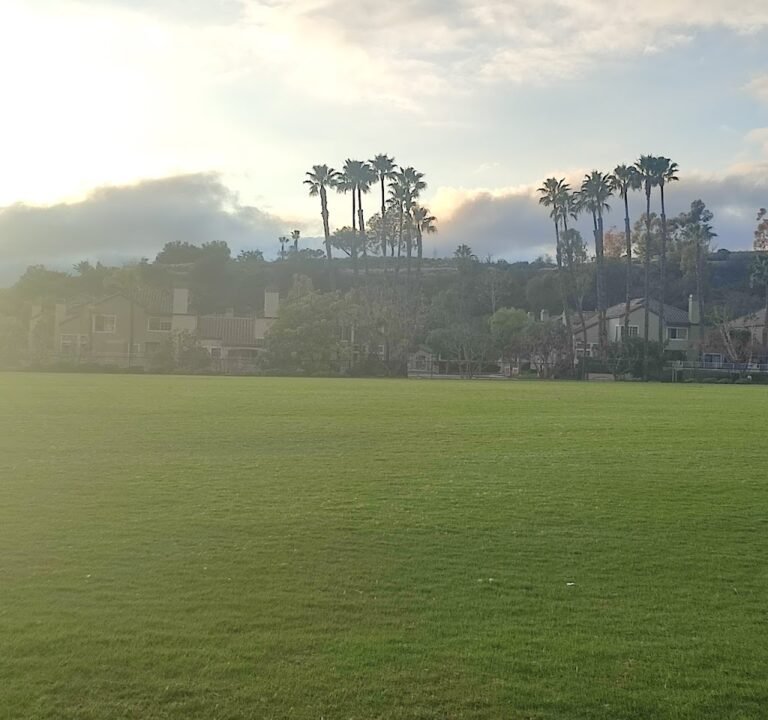 Soccer Field image 2