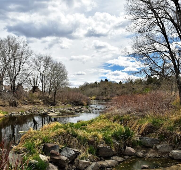 Soccer Field image 2