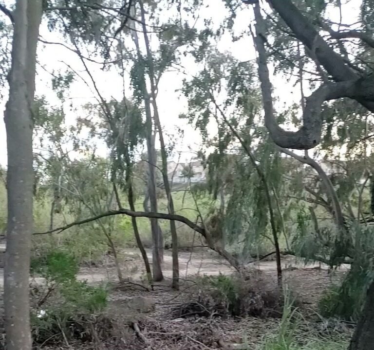 Soccer Field image 4