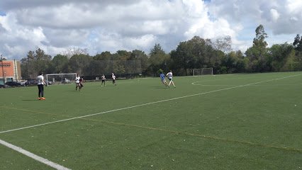 Soccer Field image 1