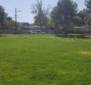 Soccer Field image 4