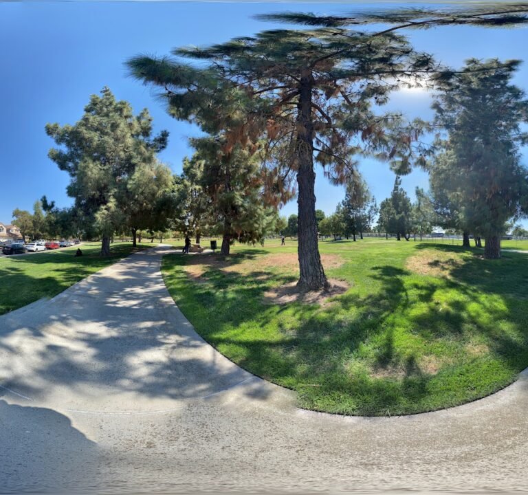 Soccer Field image 3