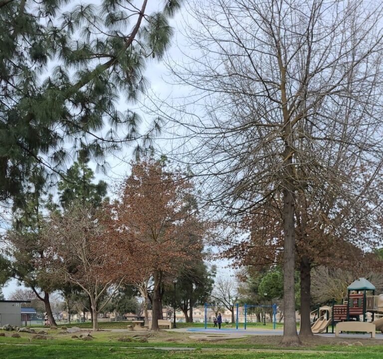 Soccer Field image 2