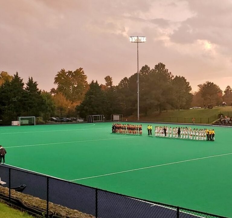 Soccer Field image 3