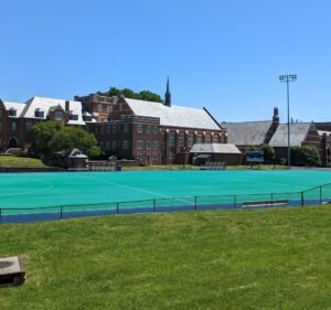 Soccer Field image 2
