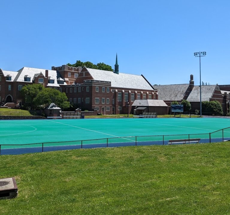 Soccer Field image 2