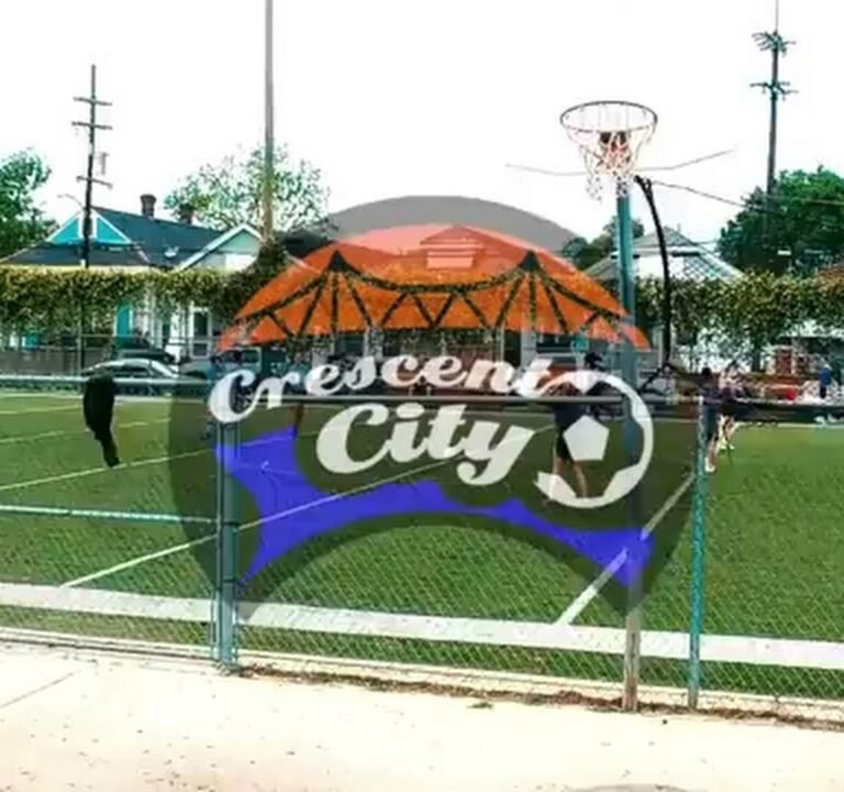 Soccer Field image 4