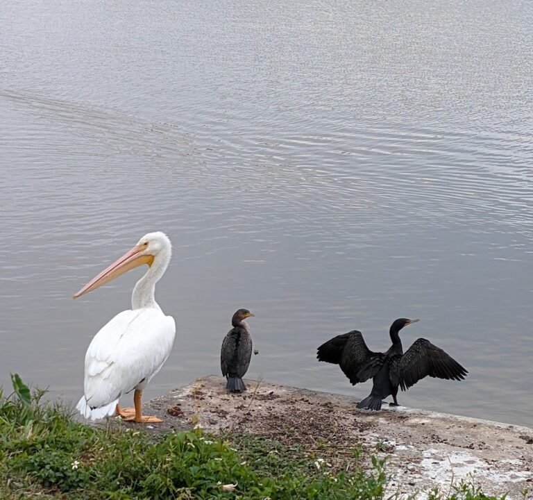 Soccer Field image 3