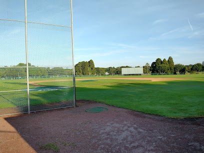 Soccer Field image 1