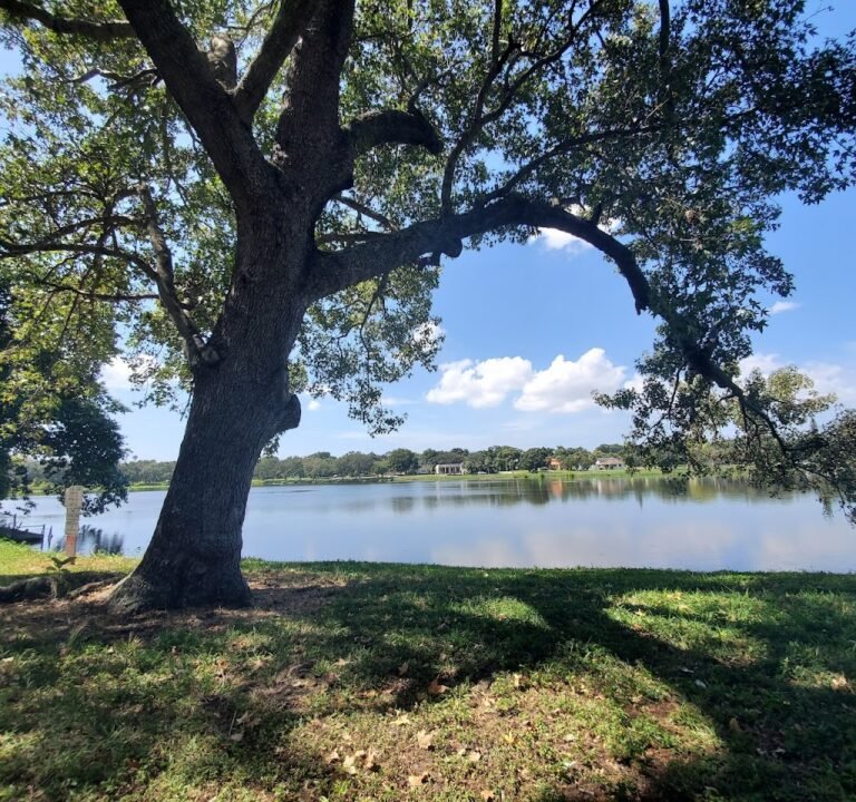 Soccer Field image 2