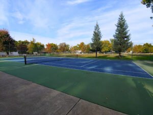 Soccer Field image 1