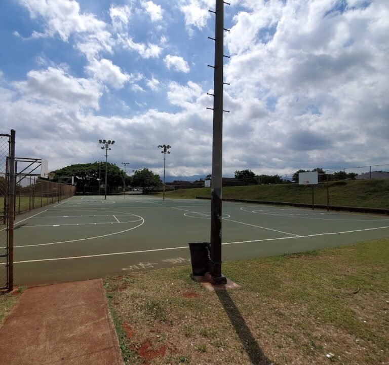 Soccer Field image 2