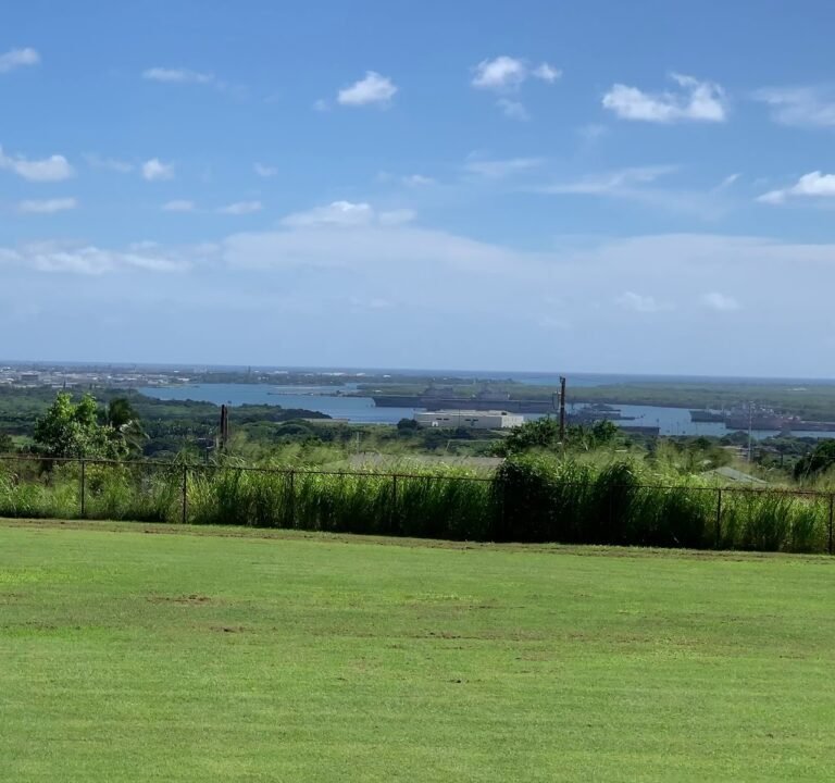 Soccer Field image 3