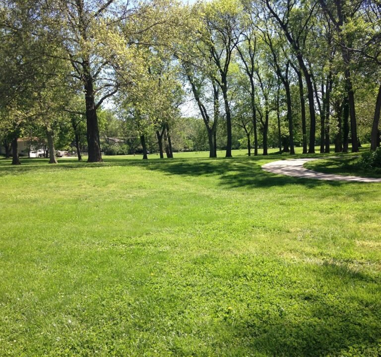 Soccer Field image 3