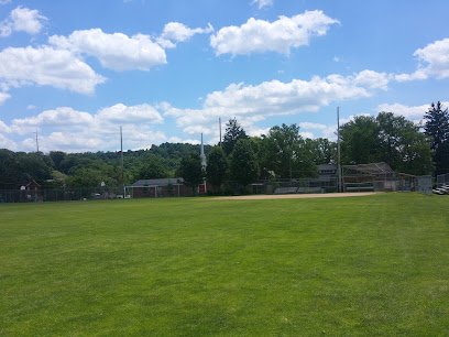 Soccer Field image 1