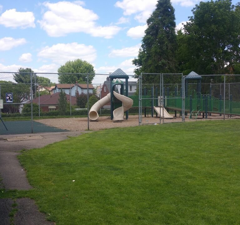 Soccer Field image 2