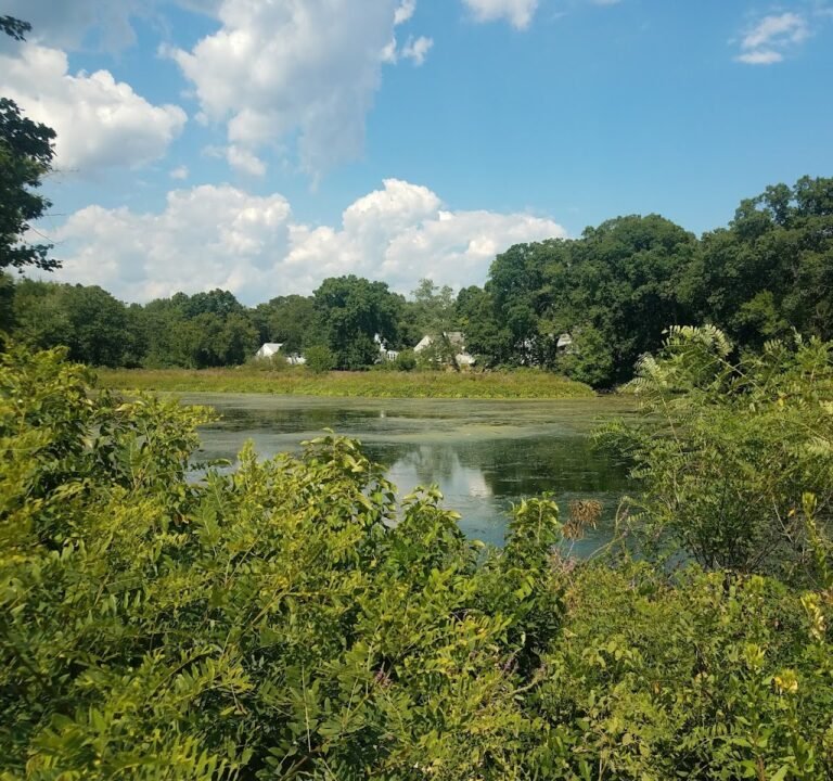 Soccer Field image 2