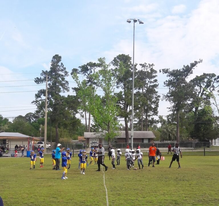 Soccer Field image 2