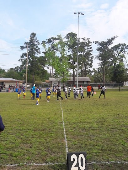 Soccer Field image 1