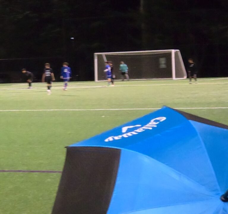 Soccer Field image 3