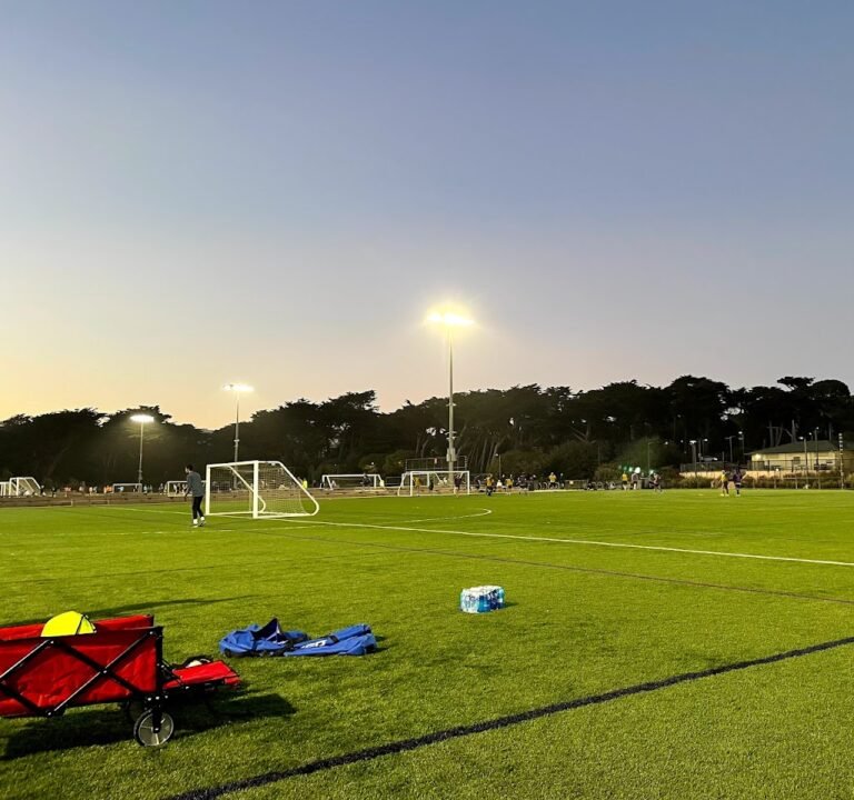 Soccer Field image 2