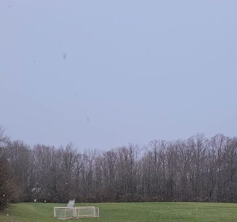 Soccer Field image 3