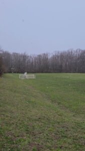 Soccer Field image 1