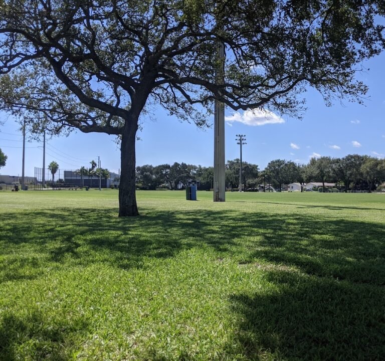 Soccer Field image 2