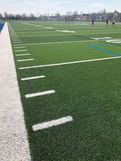 Soccer Field image 1