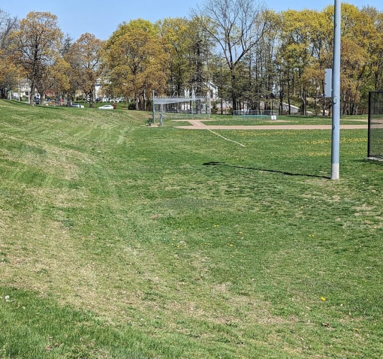 Soccer Field image 2