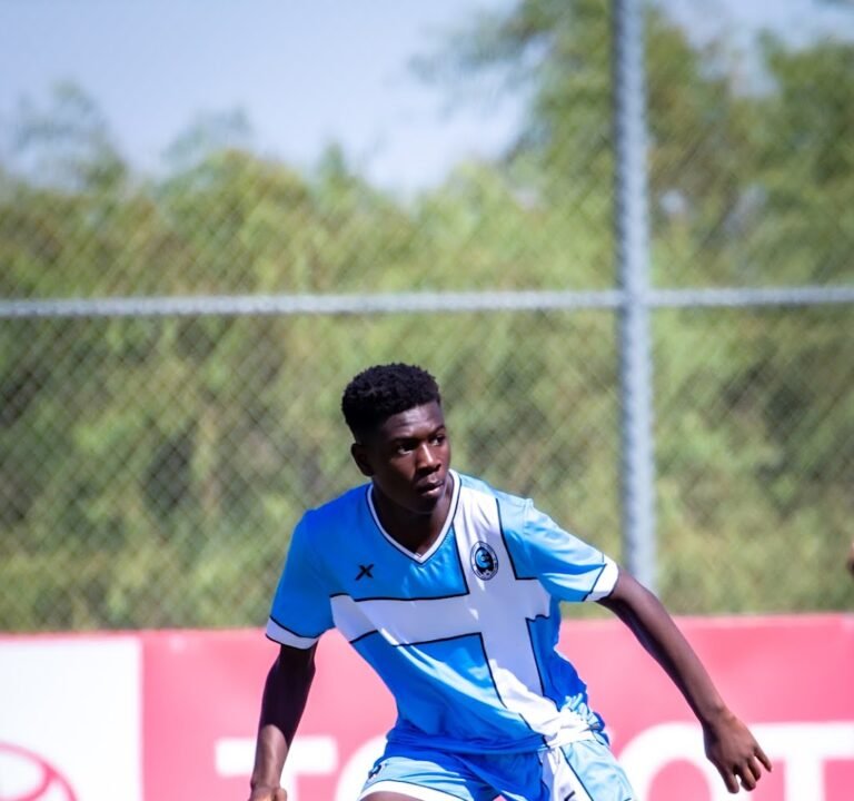 Soccer Field image 2