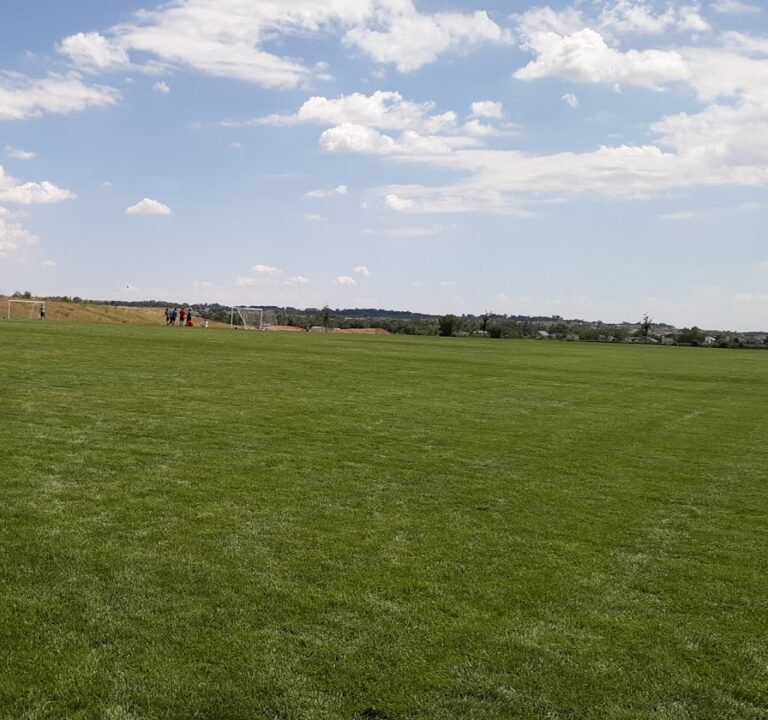 Soccer Field image 2
